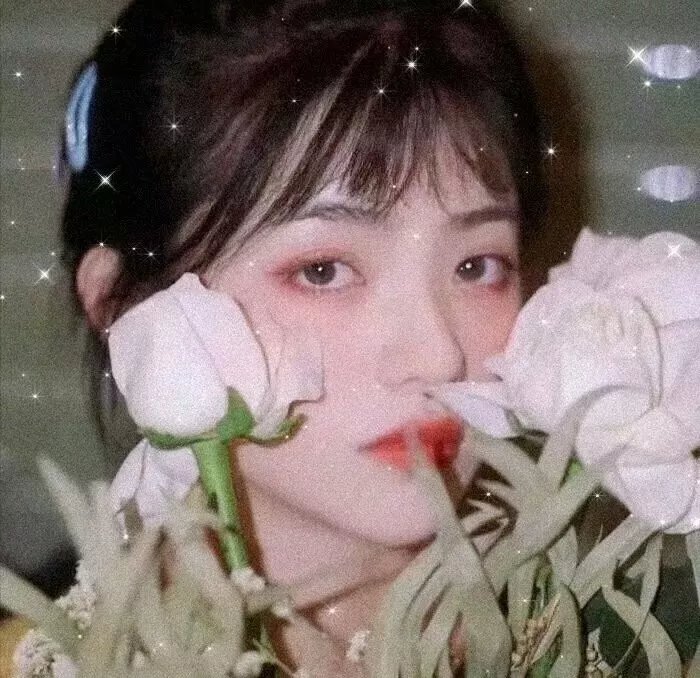 异星探索
